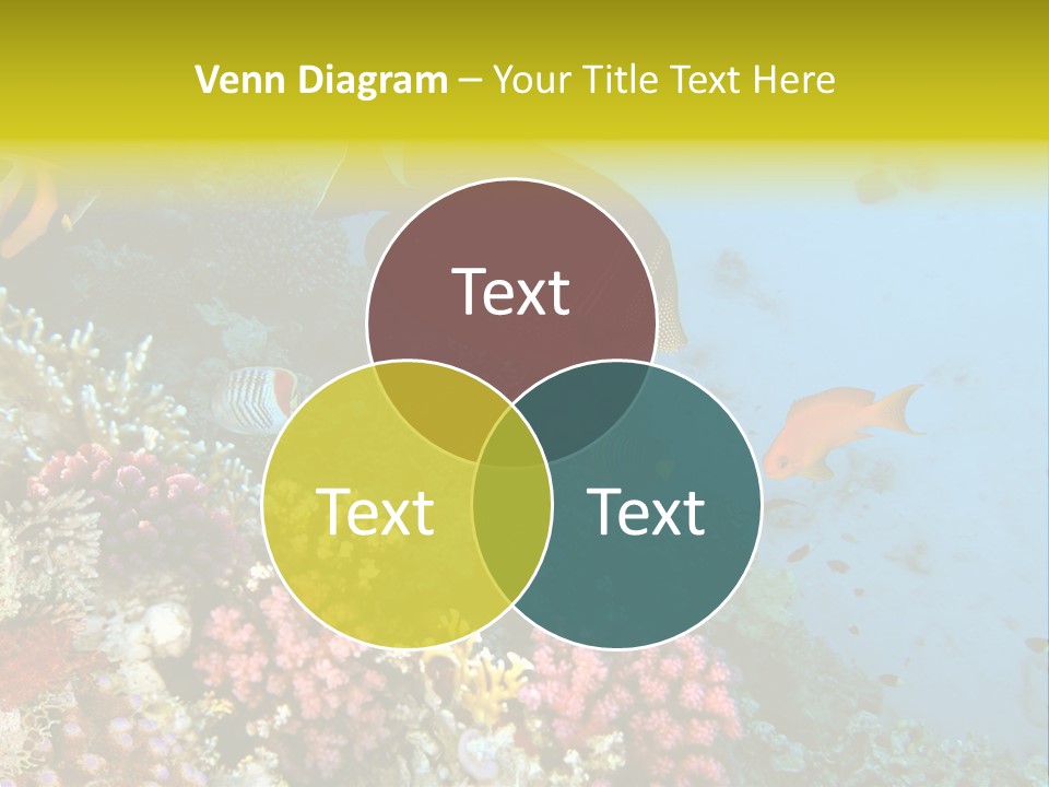 Ocean Israel Exotic PowerPoint Template