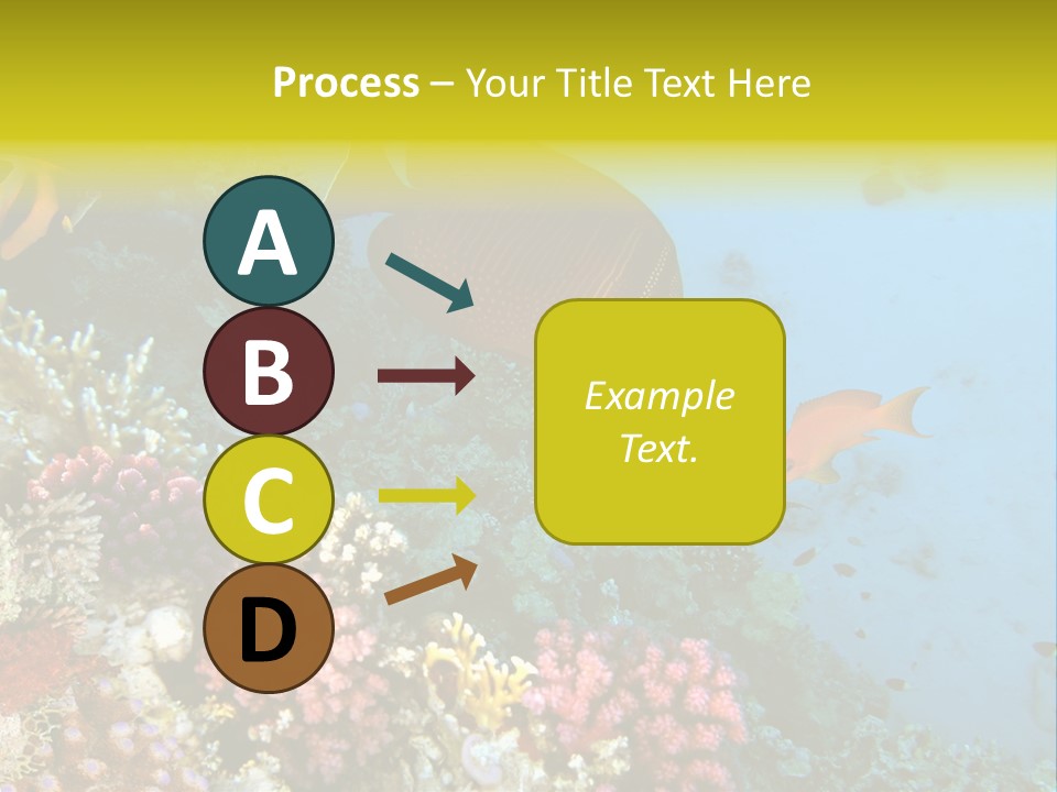 Ocean Israel Exotic PowerPoint Template