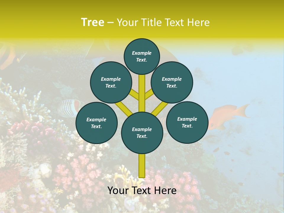 Ocean Israel Exotic PowerPoint Template