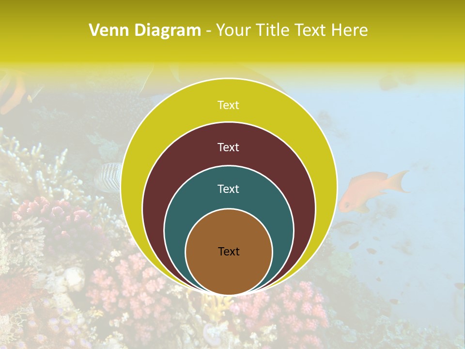 Ocean Israel Exotic PowerPoint Template