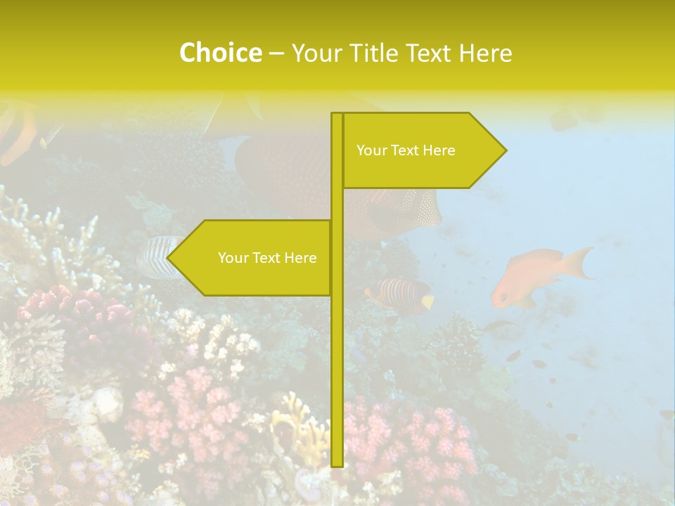 Ocean Israel Exotic PowerPoint Template