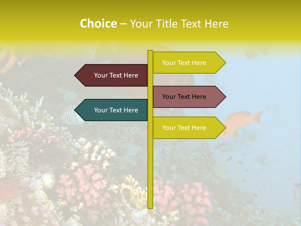 Ocean Israel Exotic PowerPoint Template