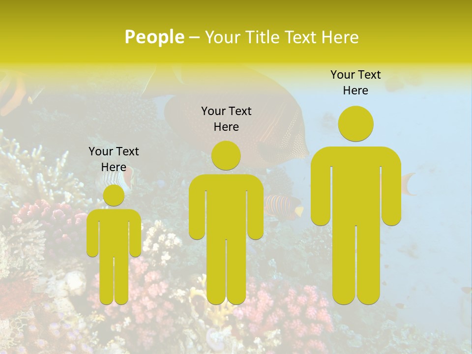 Ocean Israel Exotic PowerPoint Template