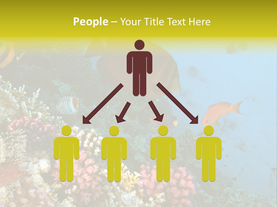 Ocean Israel Exotic PowerPoint Template