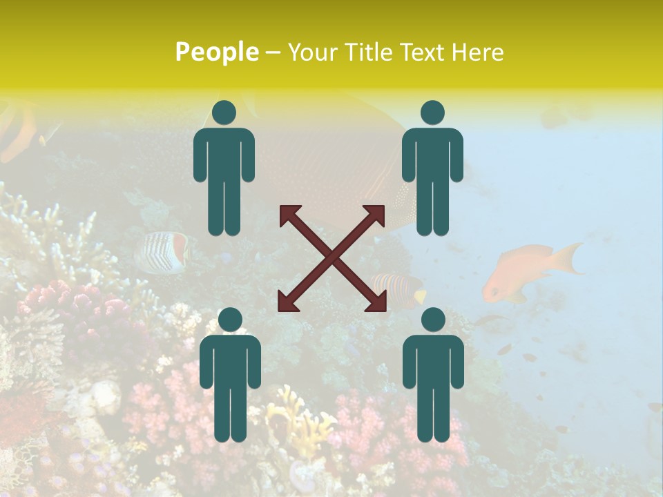 Ocean Israel Exotic PowerPoint Template