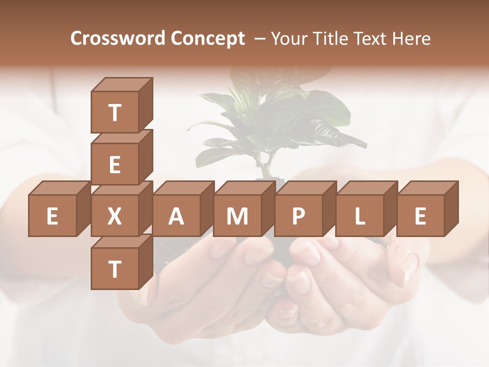 Protection Background Idea PowerPoint Template