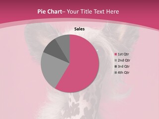 Pedigreed Close Up Crested Dog PowerPoint Template