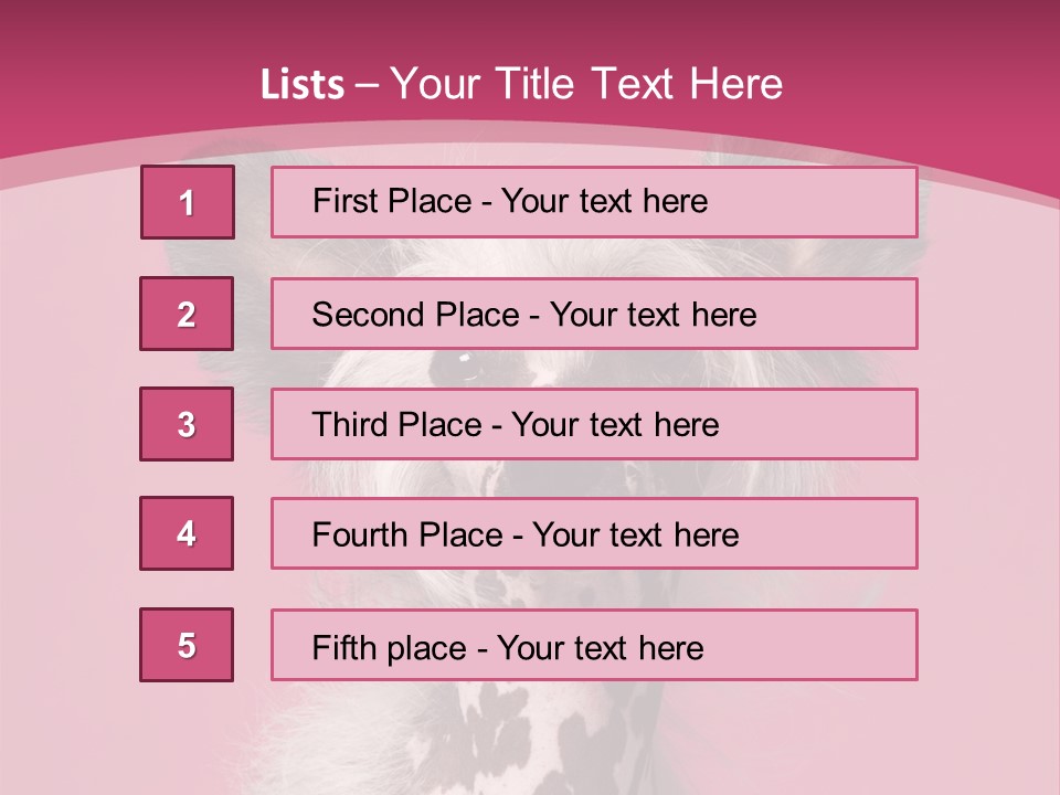 Pedigreed Close Up Crested Dog PowerPoint Template