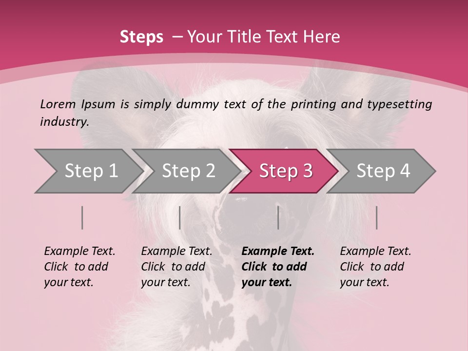 Pedigreed Close Up Crested Dog PowerPoint Template