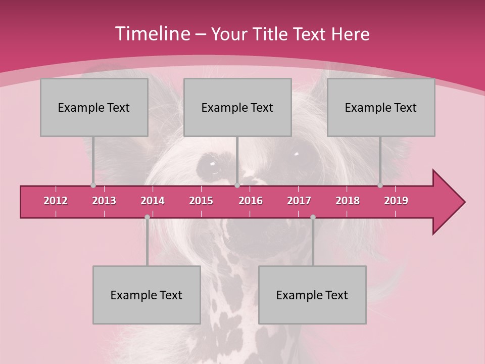 Pedigreed Close Up Crested Dog PowerPoint Template