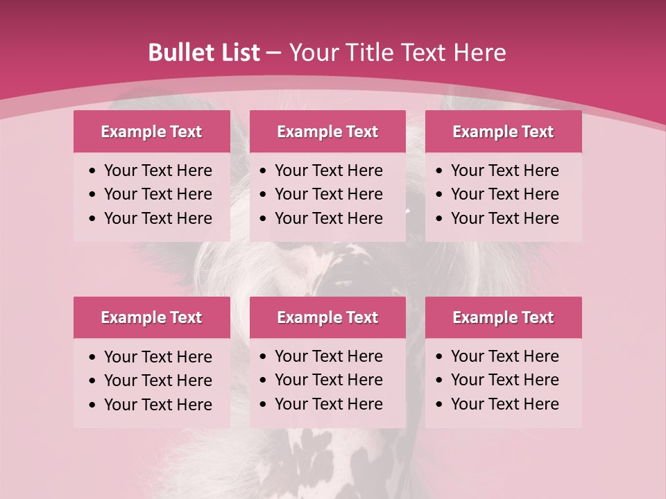 Pedigreed Close Up Crested Dog PowerPoint Template