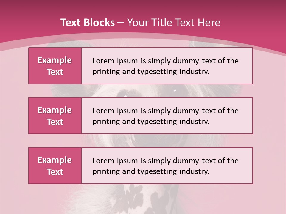 Pedigreed Close Up Crested Dog PowerPoint Template