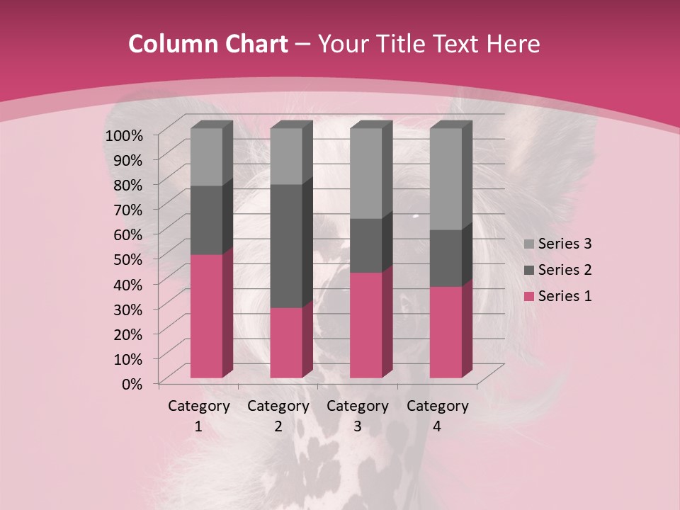 Pedigreed Close Up Crested Dog PowerPoint Template