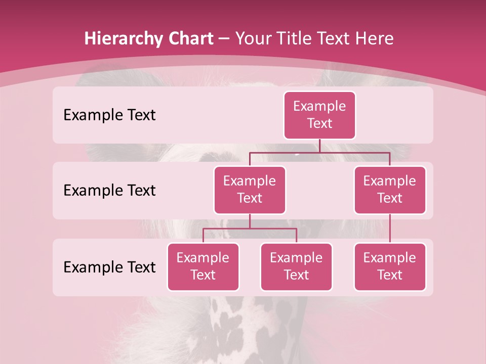 Pedigreed Close Up Crested Dog PowerPoint Template