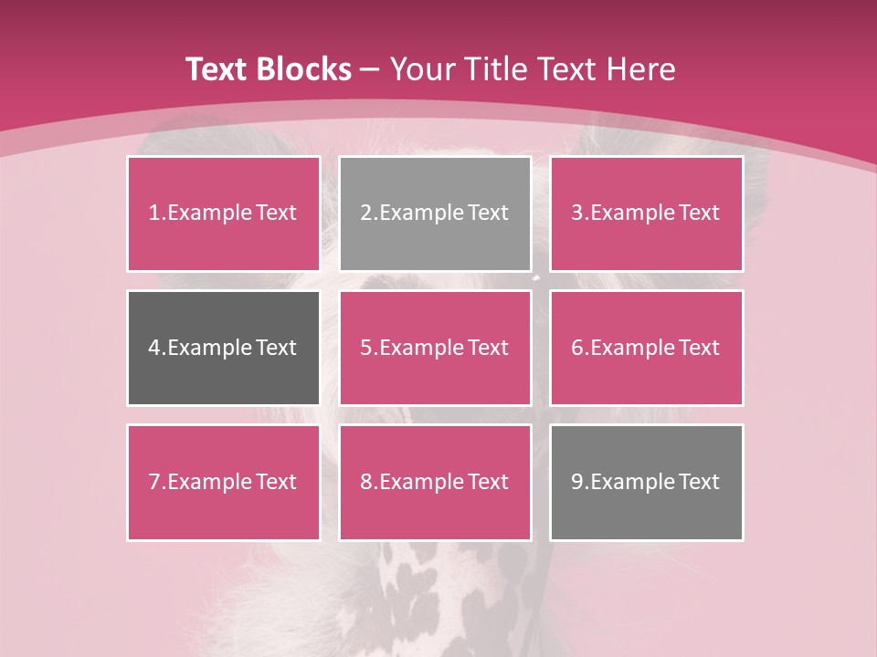 Pedigreed Close Up Crested Dog PowerPoint Template