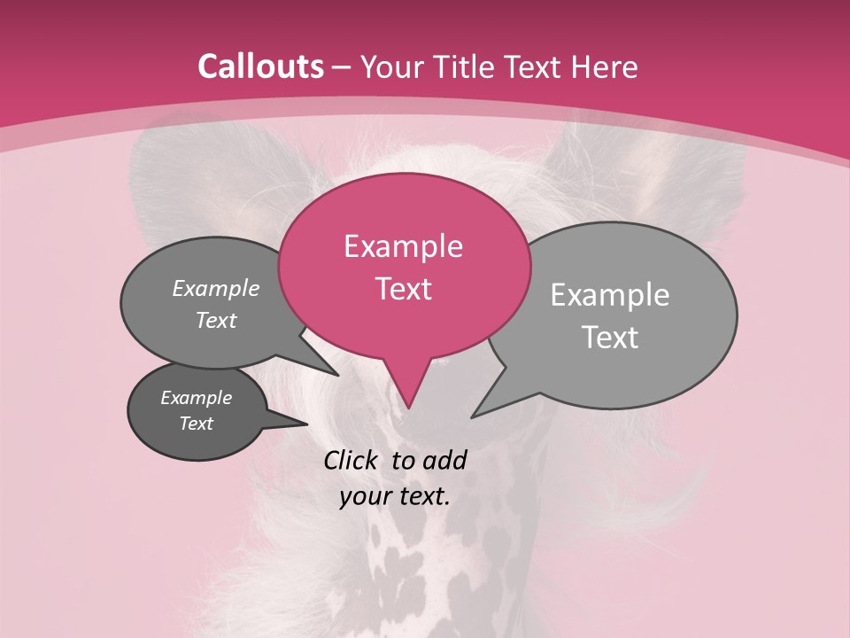 Pedigreed Close Up Crested Dog PowerPoint Template