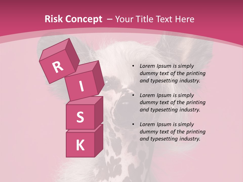 Pedigreed Close Up Crested Dog PowerPoint Template