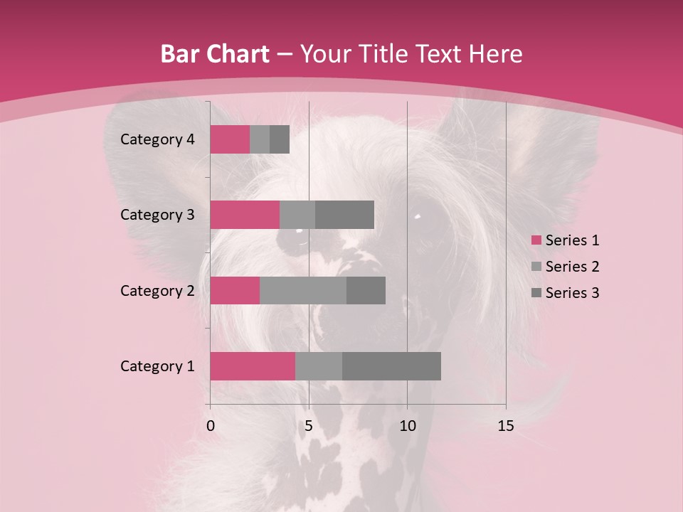 Pedigreed Close Up Crested Dog PowerPoint Template