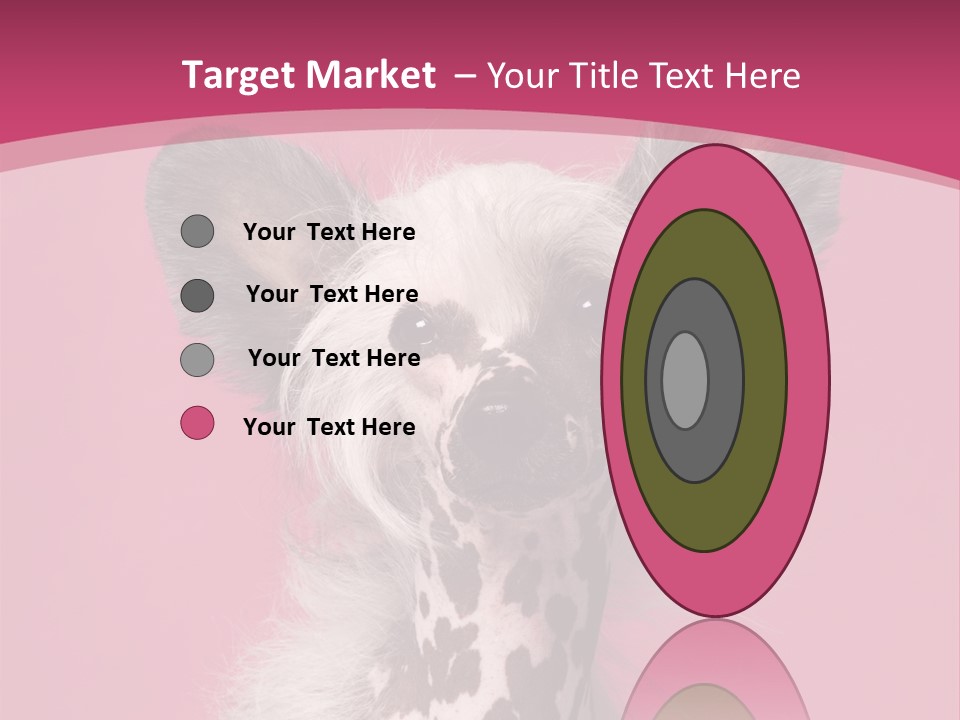 Pedigreed Close Up Crested Dog PowerPoint Template