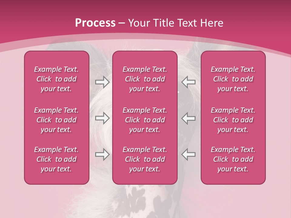 Pedigreed Close Up Crested Dog PowerPoint Template