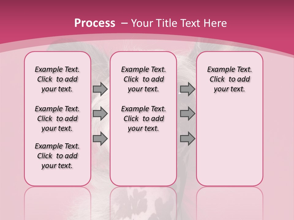 Pedigreed Close Up Crested Dog PowerPoint Template