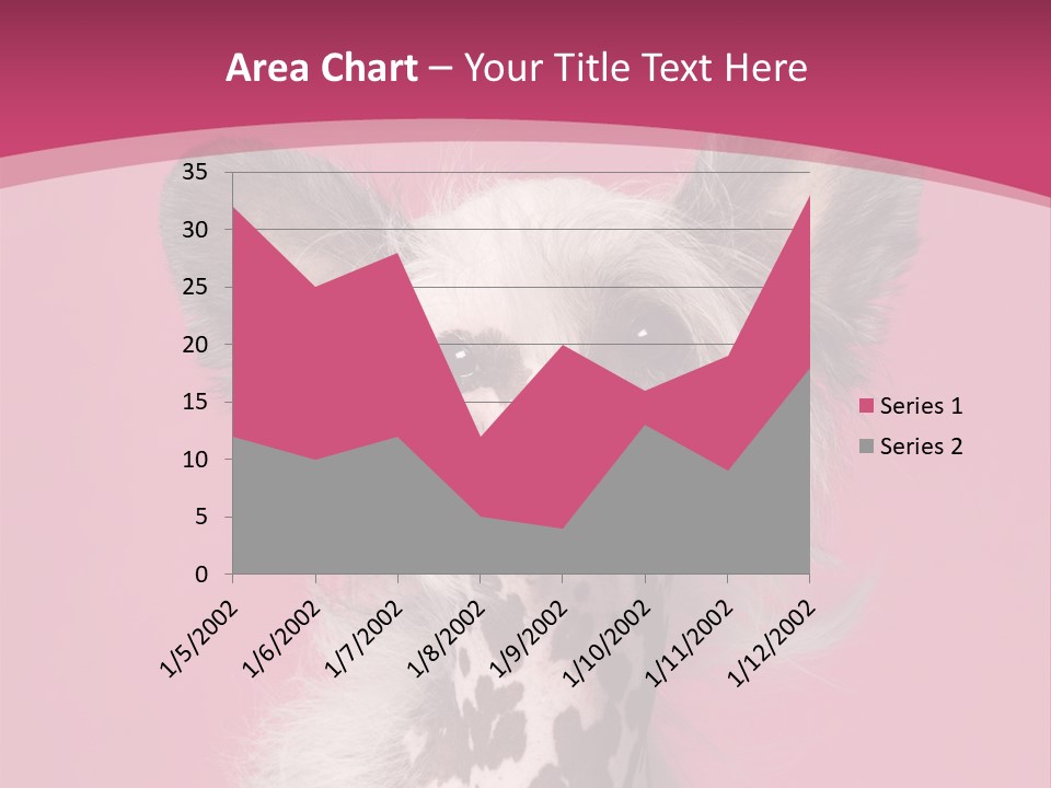 Pedigreed Close Up Crested Dog PowerPoint Template
