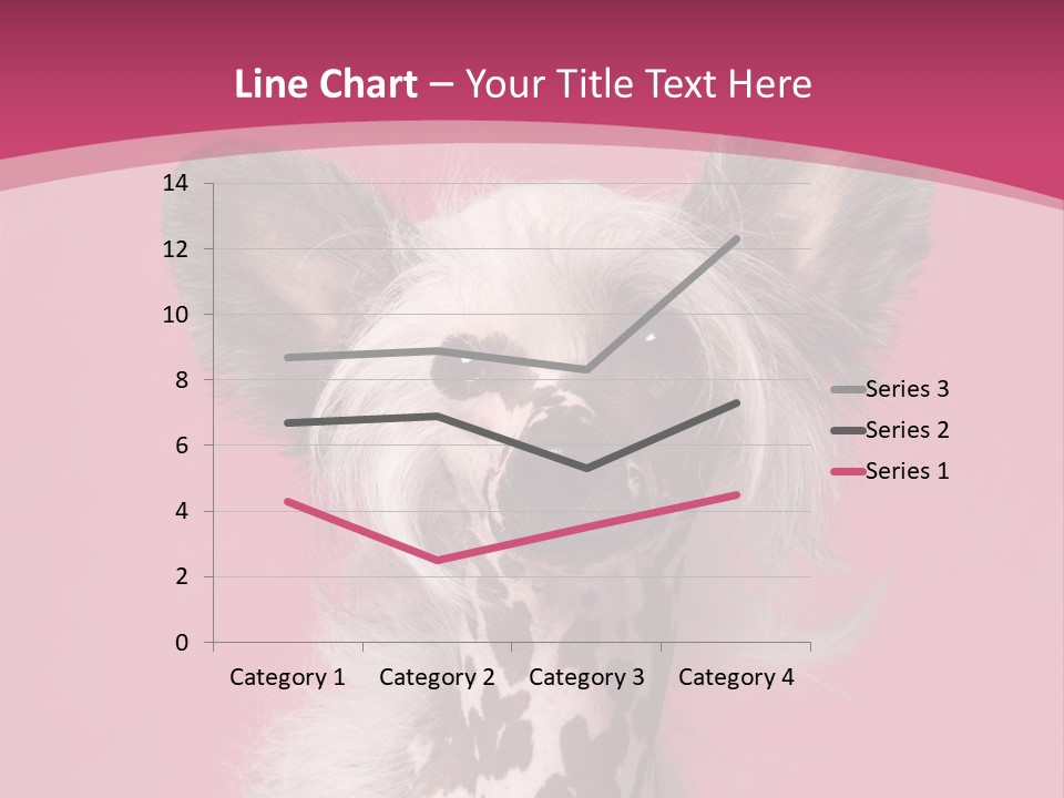 Pedigreed Close Up Crested Dog PowerPoint Template