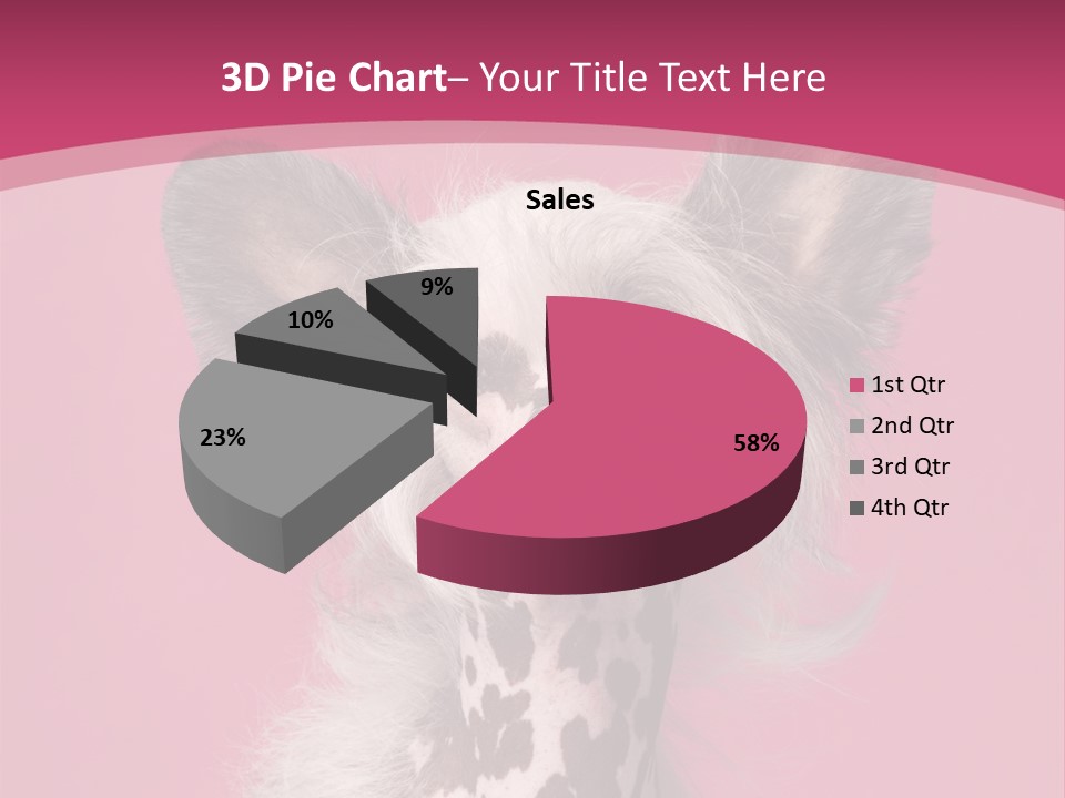 Pedigreed Close Up Crested Dog PowerPoint Template