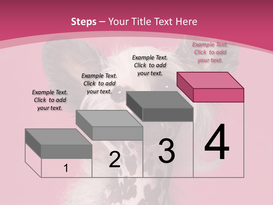 Pedigreed Close Up Crested Dog PowerPoint Template