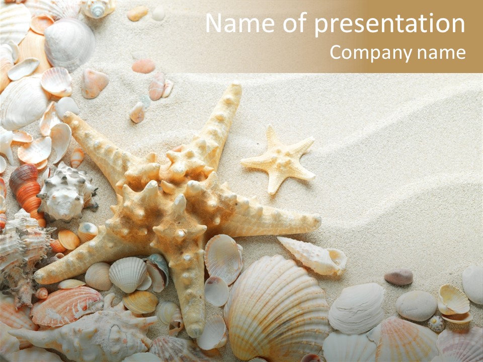 Starfish Border Summer PowerPoint Template