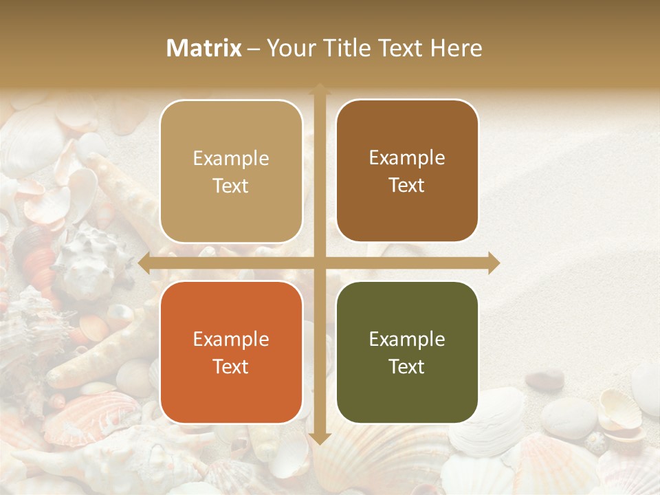 Starfish Border Summer PowerPoint Template