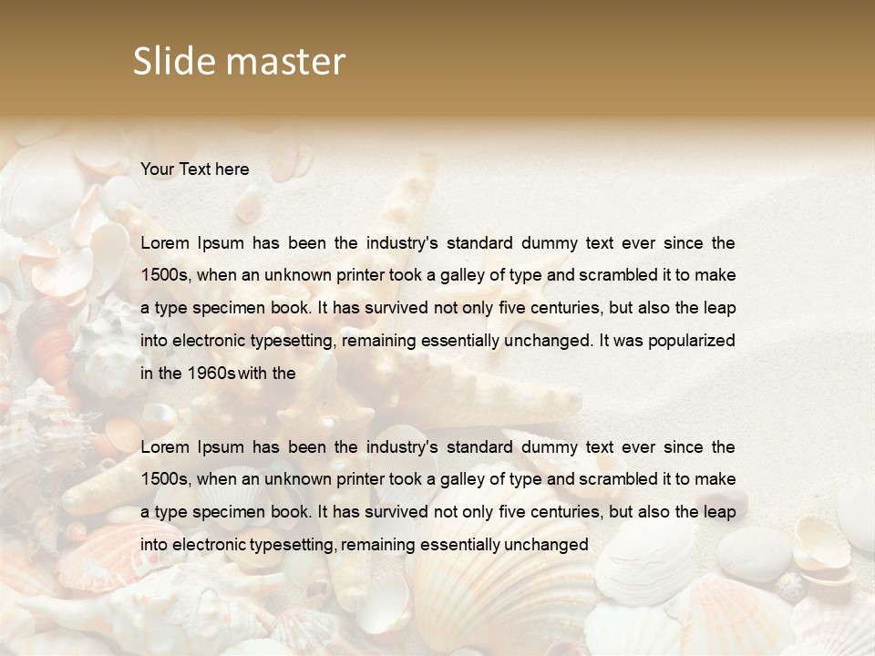 Starfish Border Summer PowerPoint Template