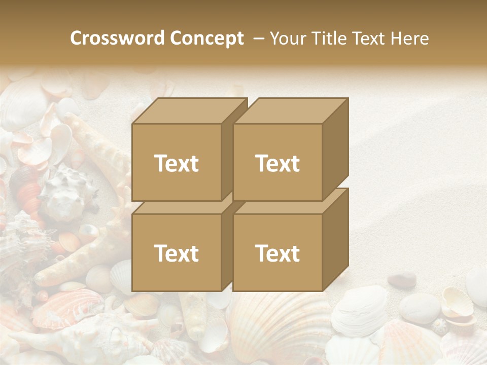 Starfish Border Summer PowerPoint Template