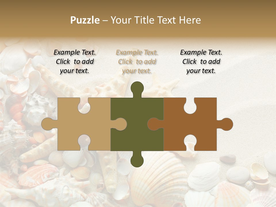 Starfish Border Summer PowerPoint Template