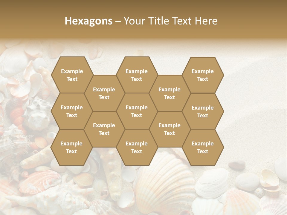 Starfish Border Summer PowerPoint Template