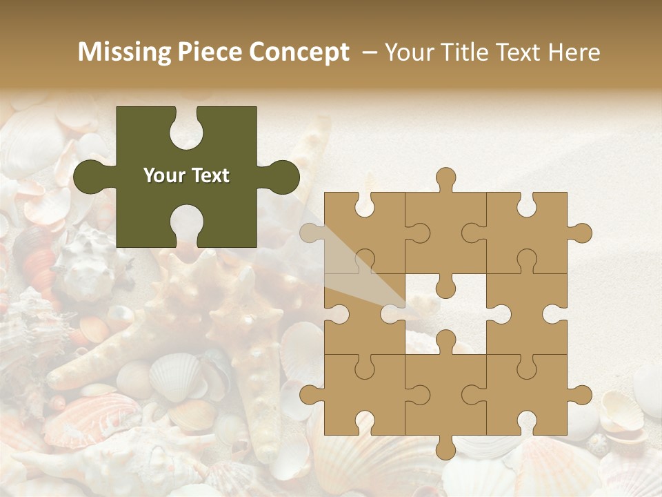 Starfish Border Summer PowerPoint Template