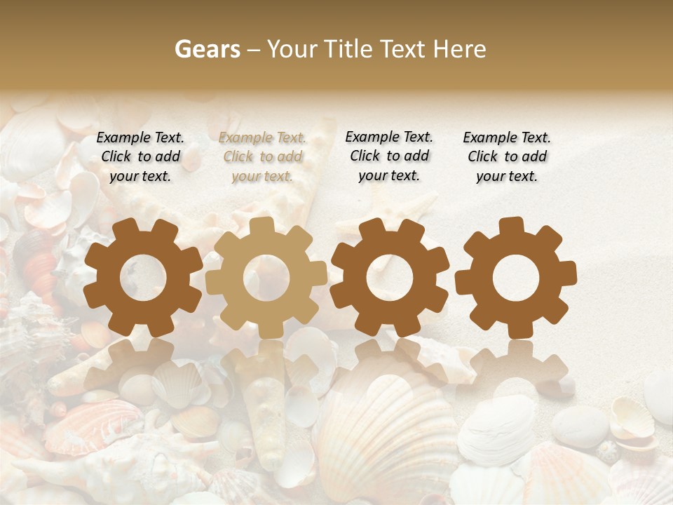 Starfish Border Summer PowerPoint Template