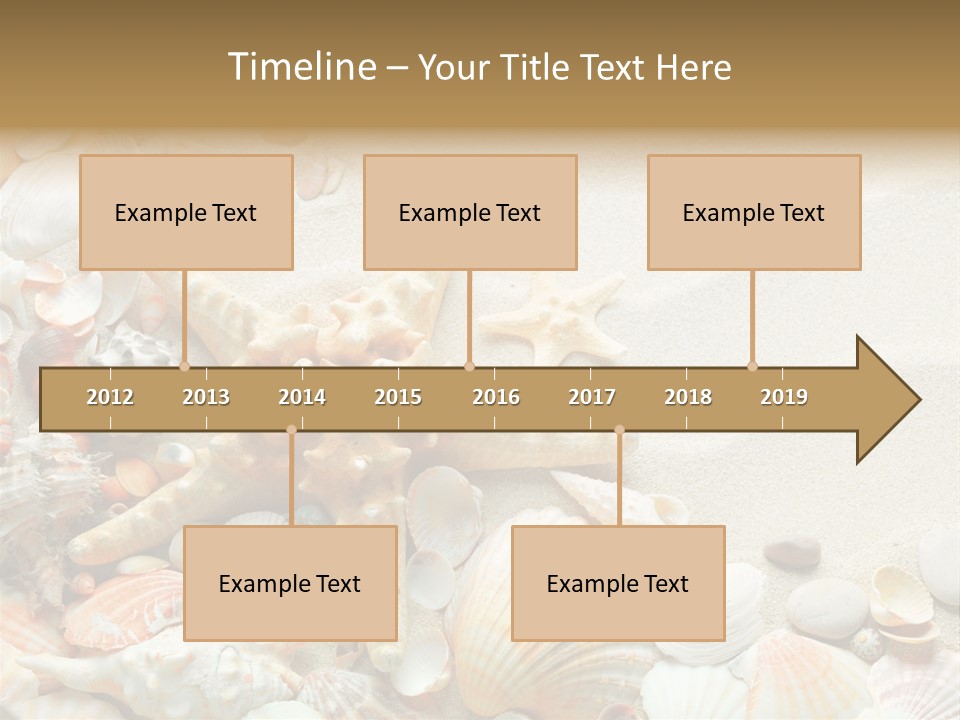 Starfish Border Summer PowerPoint Template