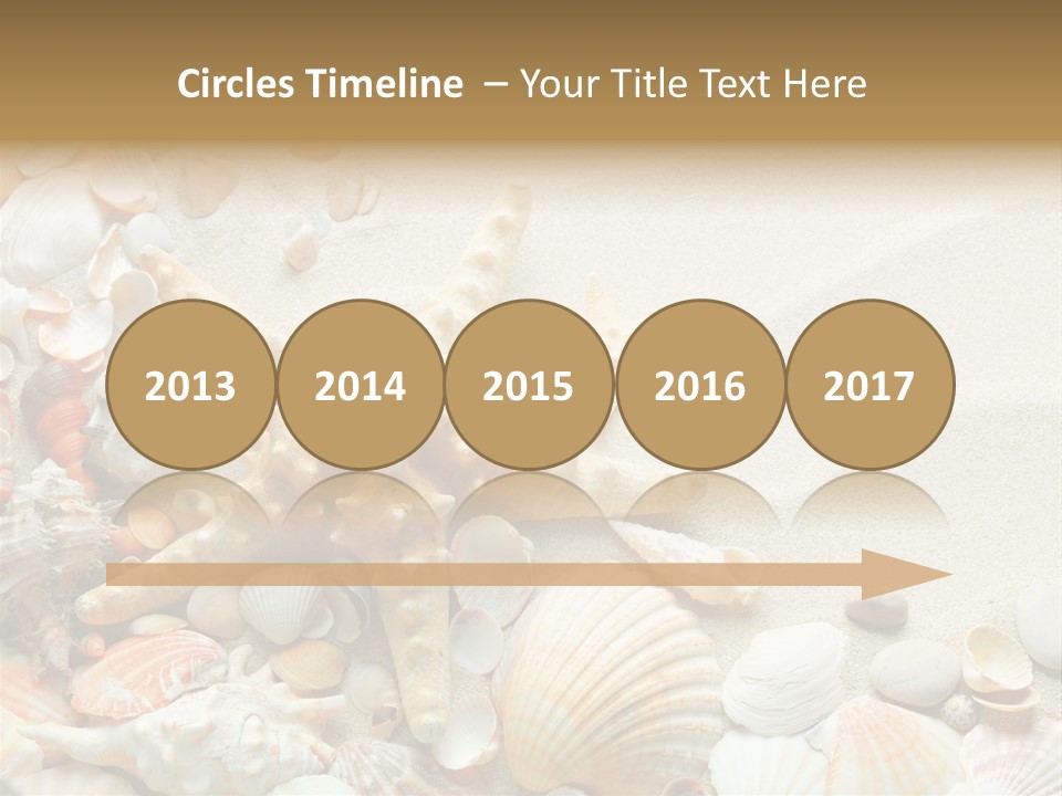 Starfish Border Summer PowerPoint Template