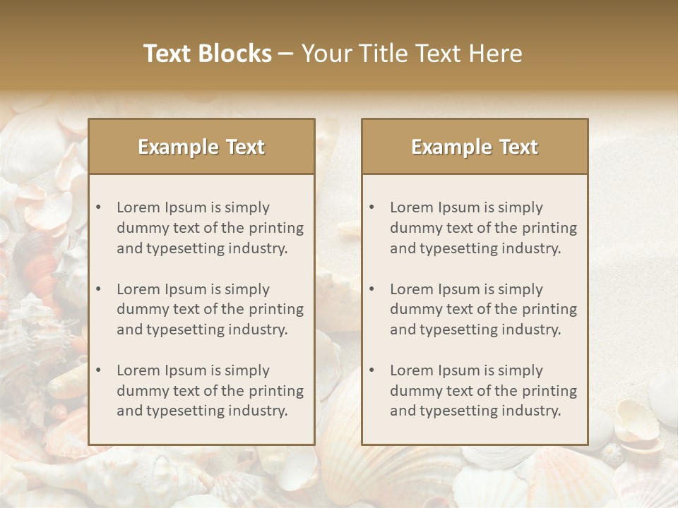 Starfish Border Summer PowerPoint Template