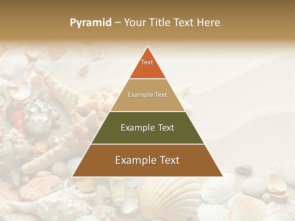 Starfish Border Summer PowerPoint Template