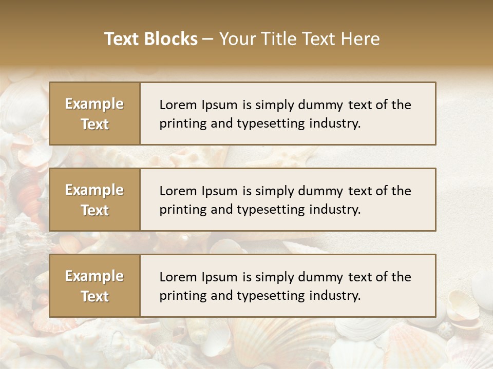 Starfish Border Summer PowerPoint Template