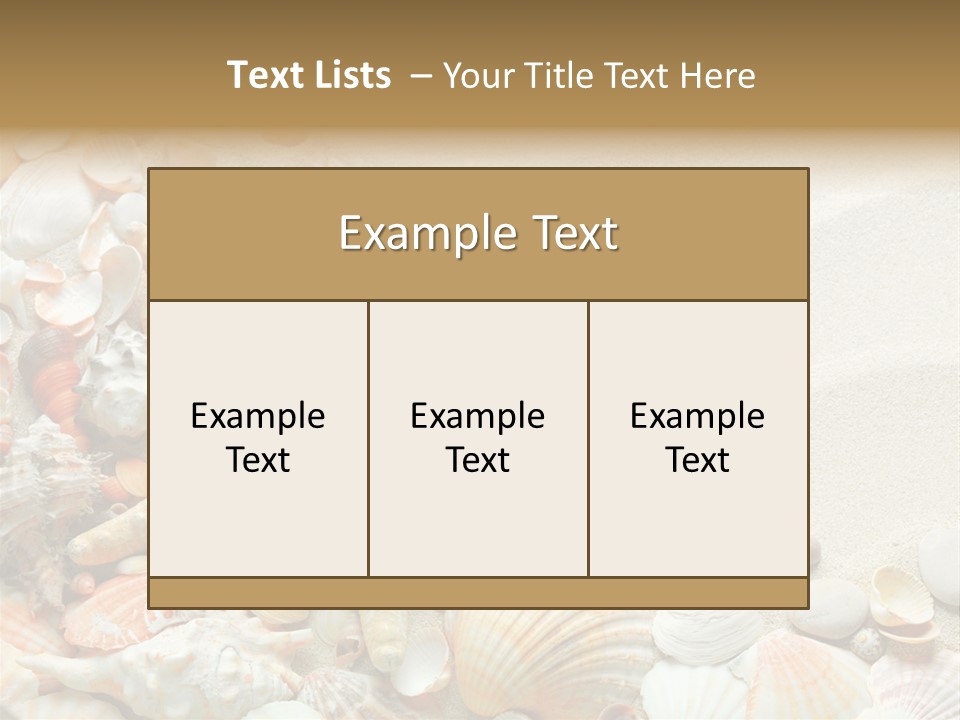 Starfish Border Summer PowerPoint Template