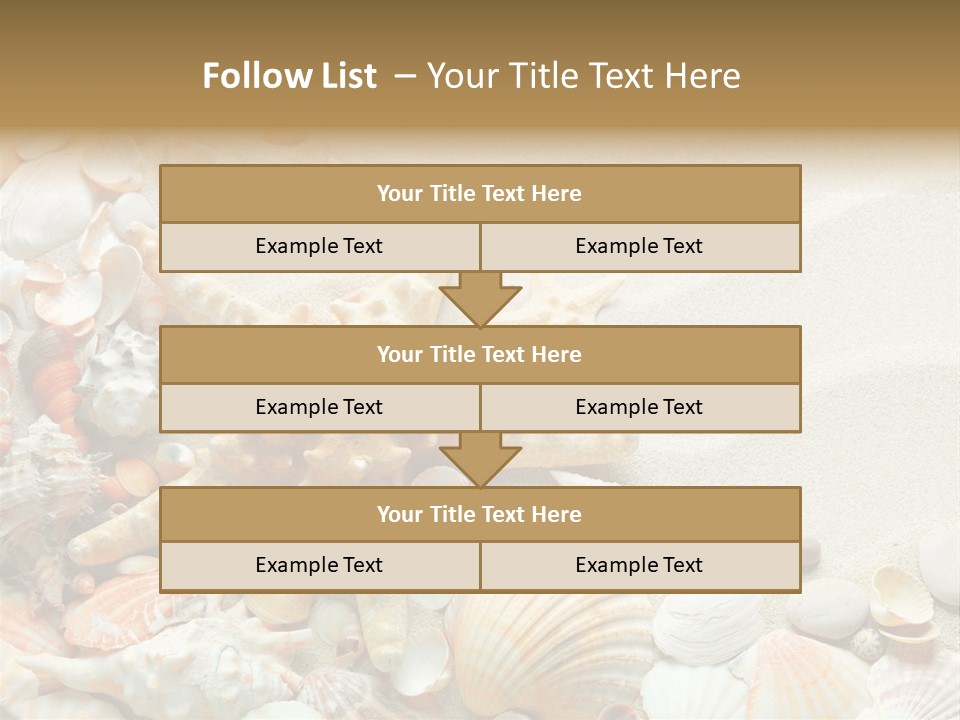 Starfish Border Summer PowerPoint Template