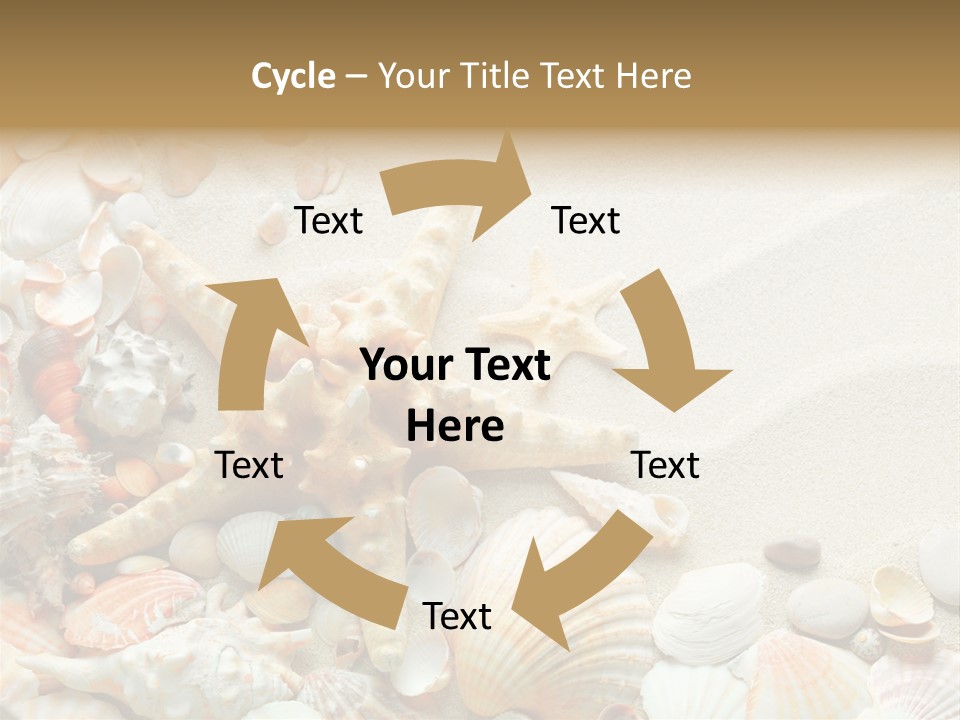 Starfish Border Summer PowerPoint Template