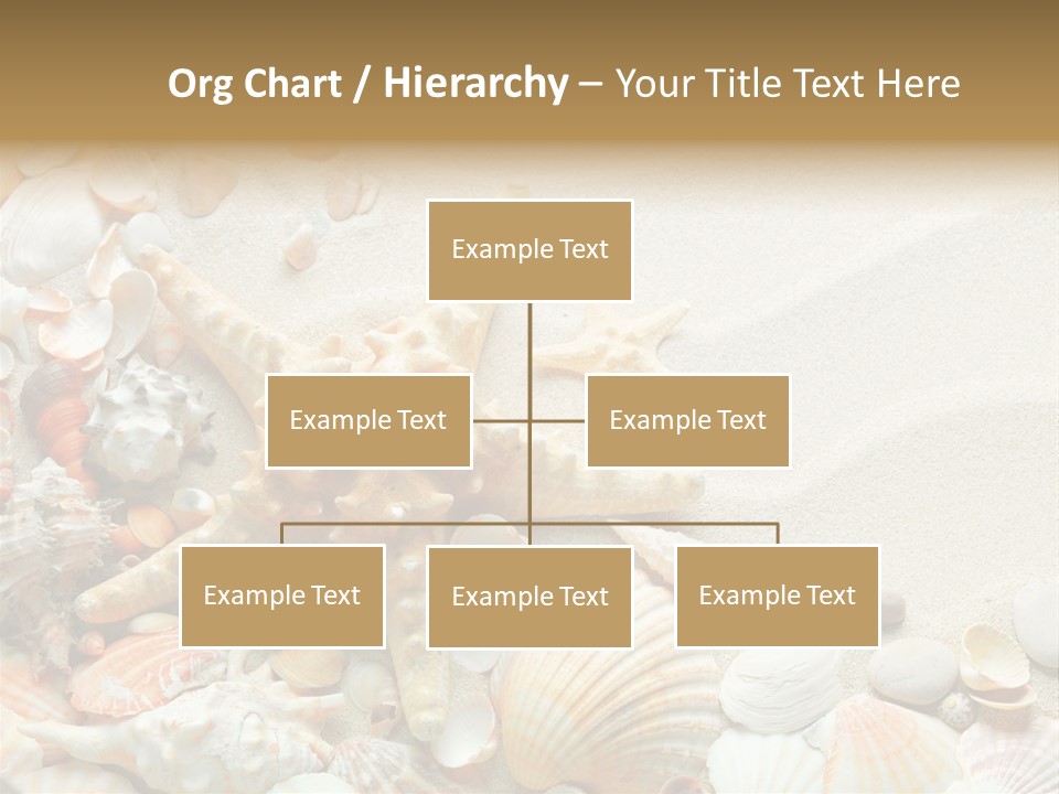 Starfish Border Summer PowerPoint Template