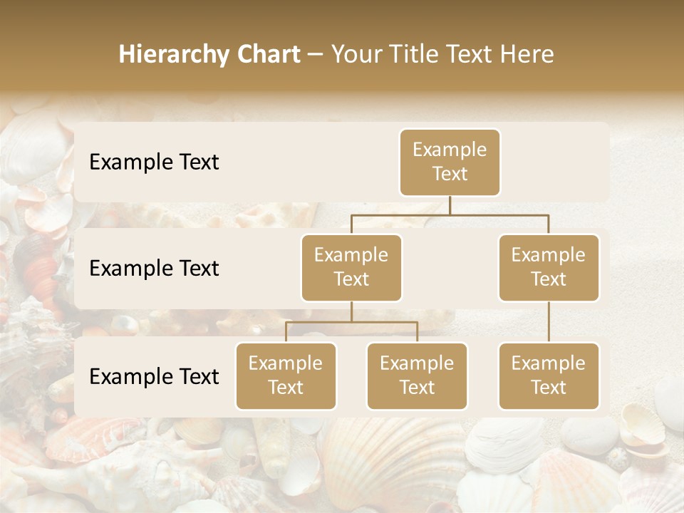 Starfish Border Summer PowerPoint Template
