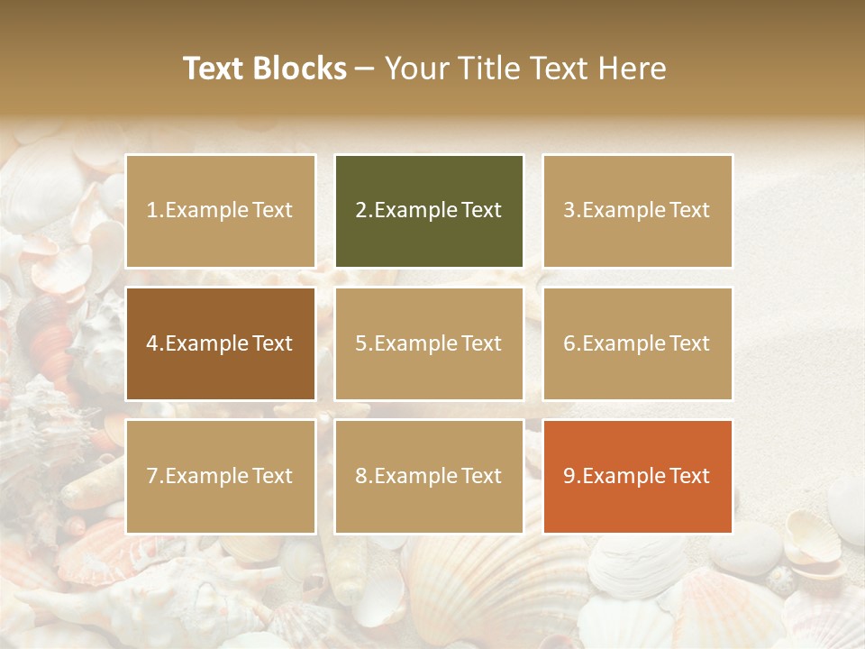 Starfish Border Summer PowerPoint Template