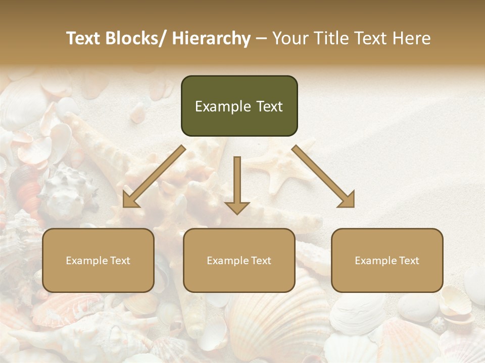 Starfish Border Summer PowerPoint Template