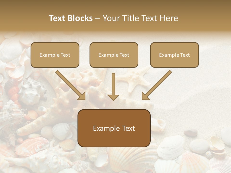 Starfish Border Summer PowerPoint Template